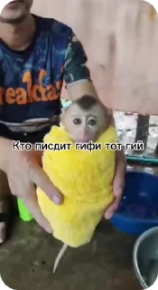 Sticker from Пак нейрика 2