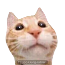🙁 emoji Emoji Telegram sticker 12 of 78
