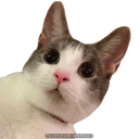 😳 emoji Emoji Telegram sticker 16 of 78