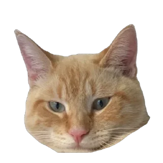 Sticker from Nala stickers