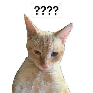 🌟 emoji Nala stickers Telegram sticker 12 of 14
