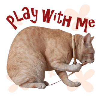 🎮 emoji Messenger Kingdom of Tigers Telegram sticker 8 of 25