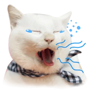 🥱 emoji Messenger Kingdom of Tigers Telegram sticker 24 of 25