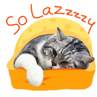 💤 emoji Messenger Kingdom of Tigers Telegram sticker 23 of 25