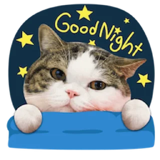 🛏 emoji Messenger Kingdom of Tigers Telegram sticker 2 of 25