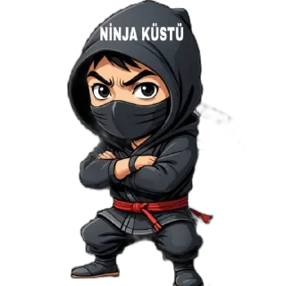 Sticker from NİNJA
