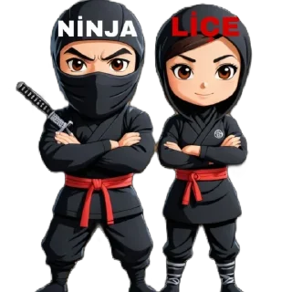 🫥 emoji NİNJA Telegram sticker 17 of 31