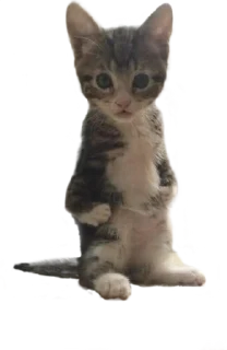 😐 emoji Обблевыши Telegram sticker 15 of 24