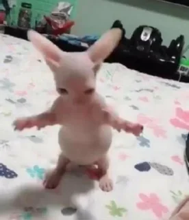 😶 emoji Обблевыши Telegram sticker 16 of 24