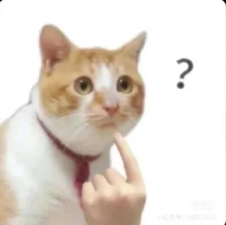 ❓ emoji тварінкі by nabi ;) Telegram sticker 7 of 79