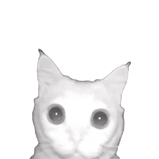 🫥 emoji тварінкі by nabi ;) Telegram sticker 24 of 79
