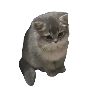 🙁 emoji тварінкі by nabi ;) Telegram sticker 15 of 79
