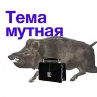 🌟 emoji кабан из потуси Telegram sticker 11 of 18