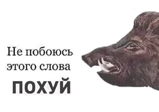 🪦 emoji кабан из потуси Telegram sticker 8 of 18