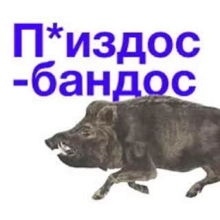 🌟 emoji кабан из потуси Telegram sticker 13 of 18