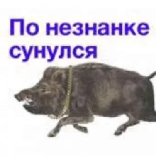 🌟 emoji кабан из потуси Telegram sticker 17 of 18
