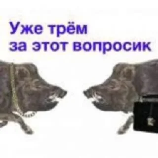 🌟 emoji кабан из потуси Telegram sticker 16 of 18