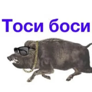 🪦 emoji кабан из потуси Telegram sticker 9 of 18