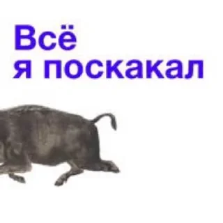🌟 emoji кабан из потуси Telegram sticker 10 of 18