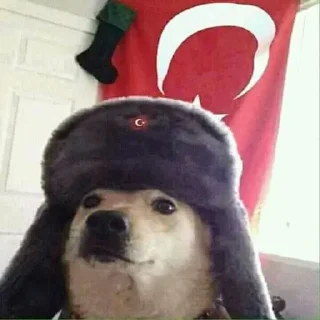 🌟 emoji recos ve turkiye Telegram sticker 5 of 26