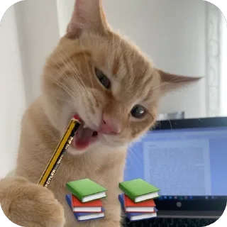 🌟 emoji Nala stickers Telegram sticker 11 of 14
