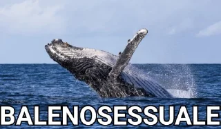 🫵 emoji no u Telegram sticker 23 of 77