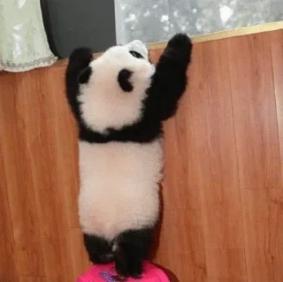 🐼 emoji 𝓑𝔂" @LollyGif|@LollySticker "🐼🤍 Telegram sticker 24 of 38