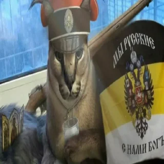 Sticker from Белый пак