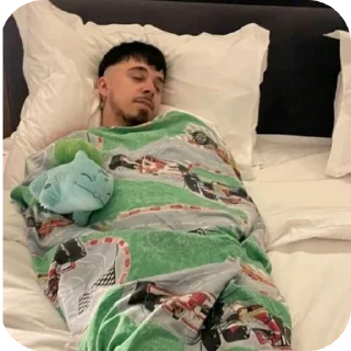 🛏 emoji Сигмы Telegram sticker 14 of 22