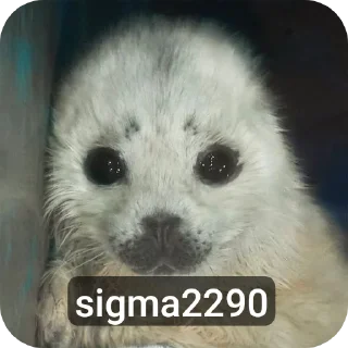 🐶 emoji Сигмы Telegram sticker 8 of 22