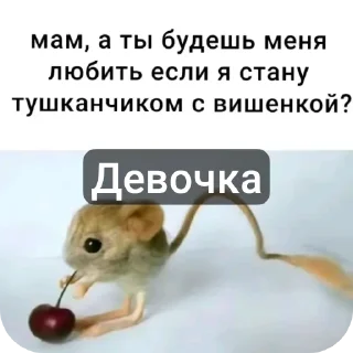 🐦 emoji Сигмы Telegram sticker 10 of 22