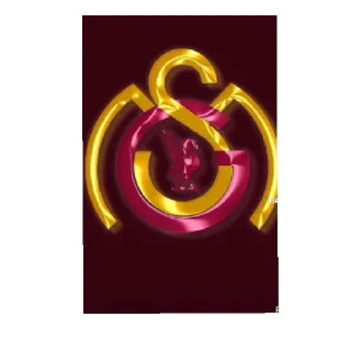 😄 emoji Galatasaray Telegram sticker 16 of 33