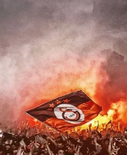 💛 emoji Galatasaray Telegram sticker 21 of 45