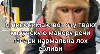 🌟 emoji Пак нейрика 2 Telegram sticker 11 of 50