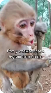 🌟 emoji Пак нейрика 2 Telegram sticker 24 of 50
