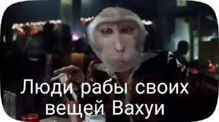 🇷🇴 emoji Обезьянки поны 11 Telegram sticker 17 of 27