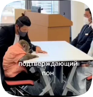🇷🇴 emoji Обезьянки поны 11 Telegram sticker 23 of 27