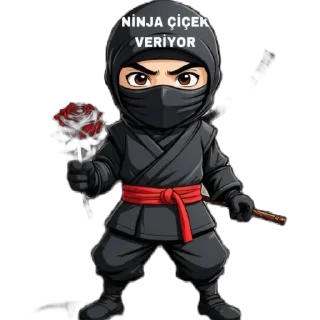 🫥 emoji NİNJA Telegram sticker 9 of 31