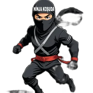 🫥 emoji NİNJA Telegram sticker 16 of 31