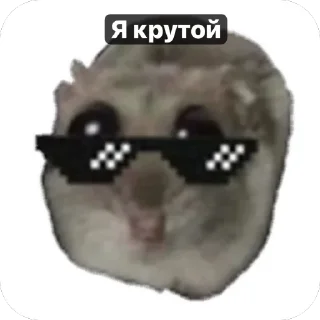 😎 emoji Хомячки 🤍 Telegram sticker 17 of 18