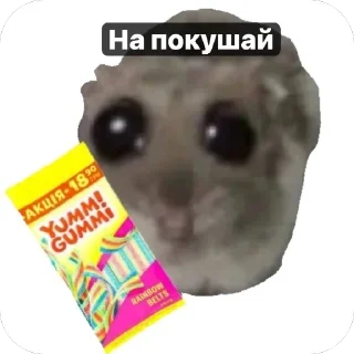 😁 emoji Хомячки 🤍 Telegram sticker 9 of 18
