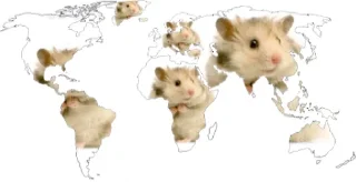 🌍 emoji Хомяки Telegram sticker 2 of 30