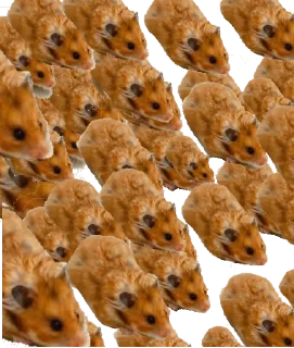 🐹 emoji Хомяки Telegram sticker 10 of 30