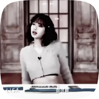🦢 emoji ☆〜（ゝ。∂lisa @iconckpop Telegram sticker 9 of 34