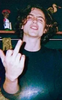 🖕 emoji Timothée Chalamet Telegram sticker 17 of 28