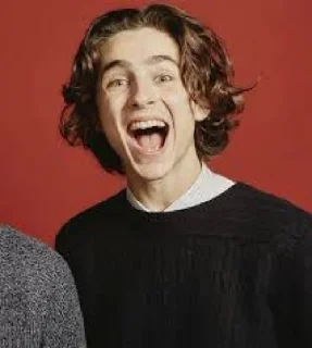 😂 emoji Timothée Chalamet Telegram sticker 12 of 28
