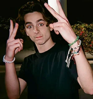 😗 emoji Timothée Chalamet Telegram sticker 18 of 28