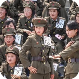 👍 emoji North Korea - The Hermit Kingdom Telegram sticker 24 of 39