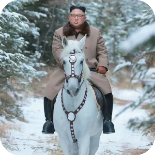 👍 emoji North Korea - The Hermit Kingdom Telegram sticker 18 of 39