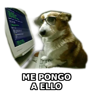 👍 emoji Raupulus Web Developer Telegram sticker 15 of 93